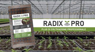 RADIX PRO