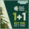 Special Royal Offer: 1 for Free!