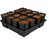 WILMA - GROW SYSTEM 16 (16X11L)