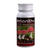 AGROBACTERIAS - AMANITHA (EX OIDIO KILLER) - 15 ML