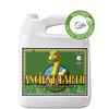 ADVANCED NUTRIENTS - ORGANIC-OIM ANCIENT EARTH - 10L