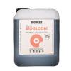 BIOBIZZ - BIO BLOOM - 5L