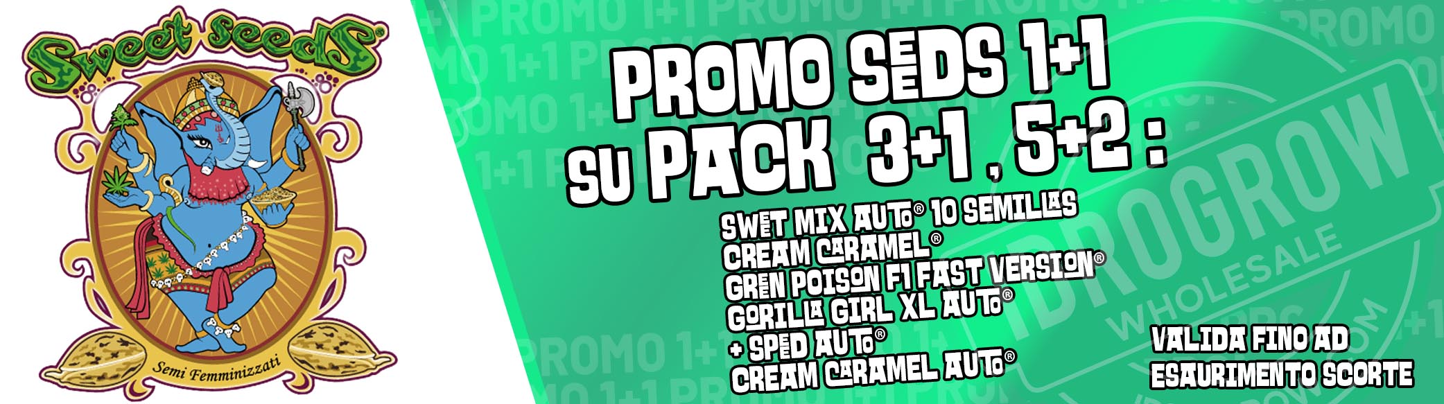 Promo Sweet Seeds1+1it