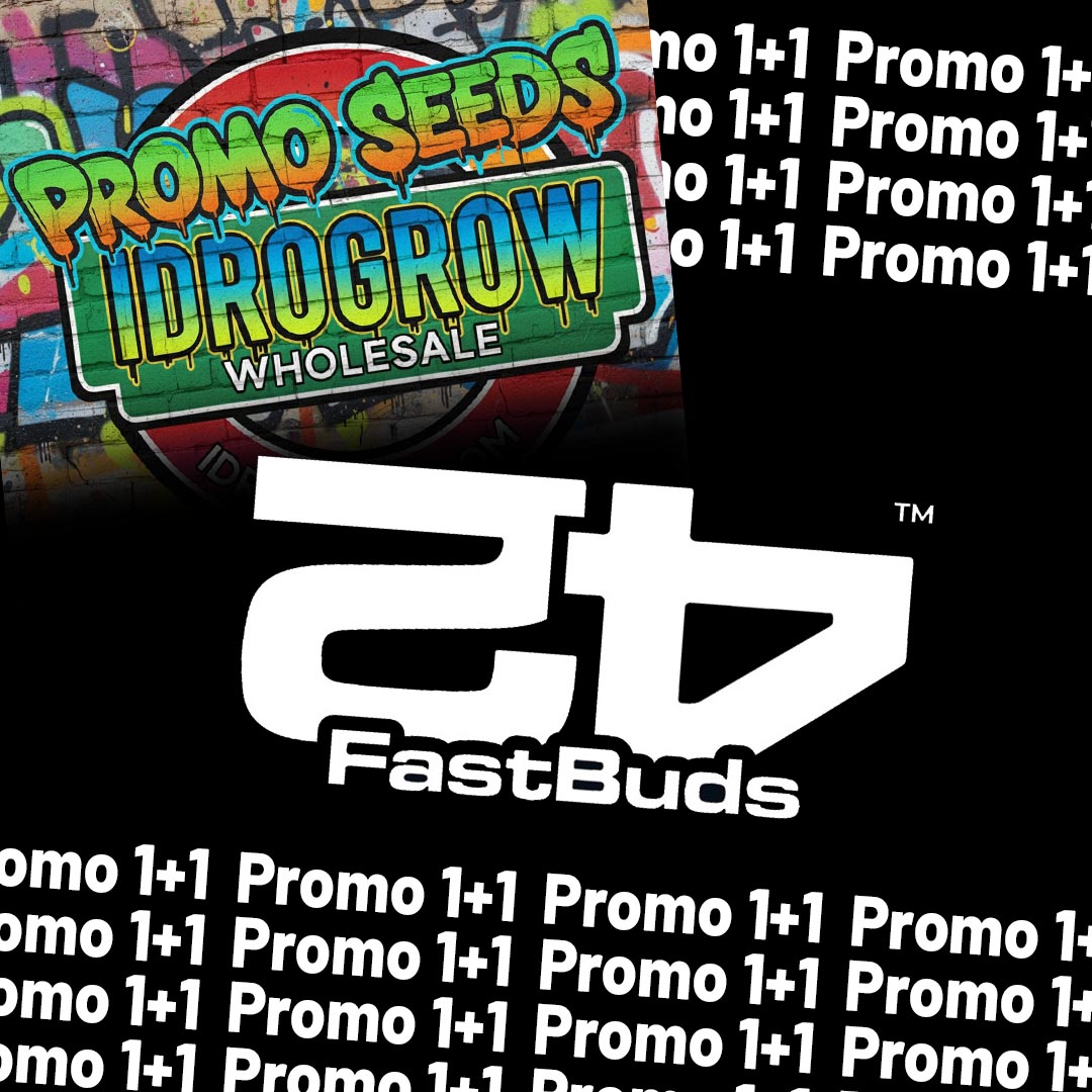 FAST_BUDS_1+1