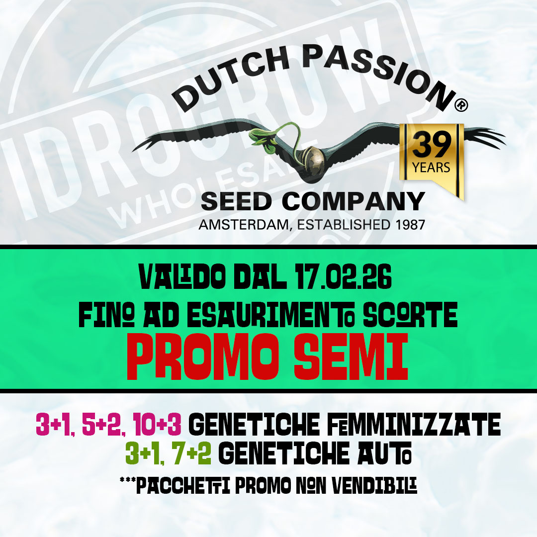 Dutch_Passion_Promo_it
