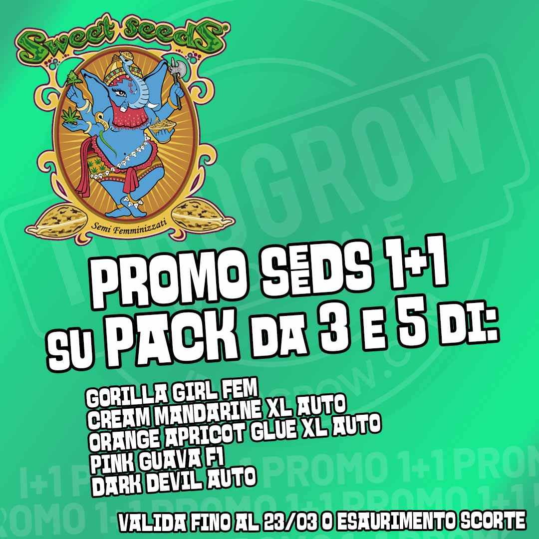promo sweets seeds 1+1it